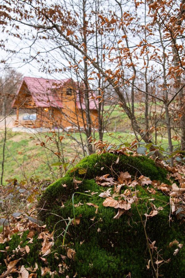 Brvnaria Villa Slatina Bagian luar foto